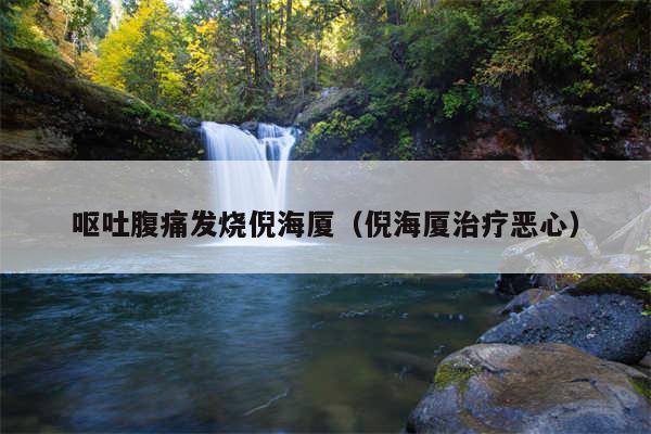 呕吐腹痛发烧倪海厦（倪海厦治疗恶心）