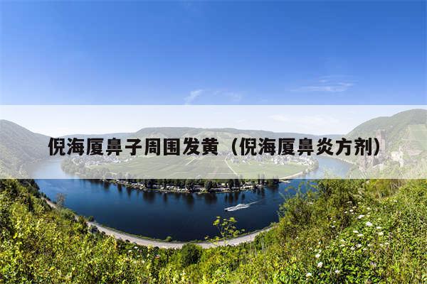 倪海厦鼻子周围发黄(倪海厦鼻炎方剂)