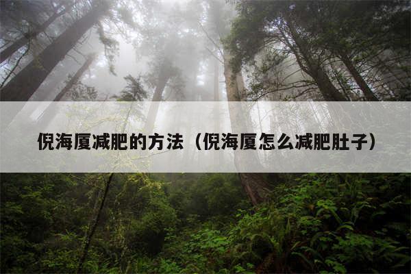 倪海厦减肥的方法(倪海厦怎么减肥肚子)