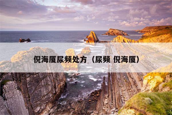 倪海厦尿频处方(尿频 倪海厦)