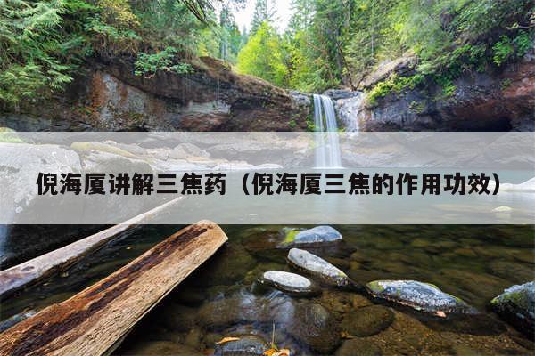 倪海厦讲解三焦药(倪海厦三焦的作用功效)