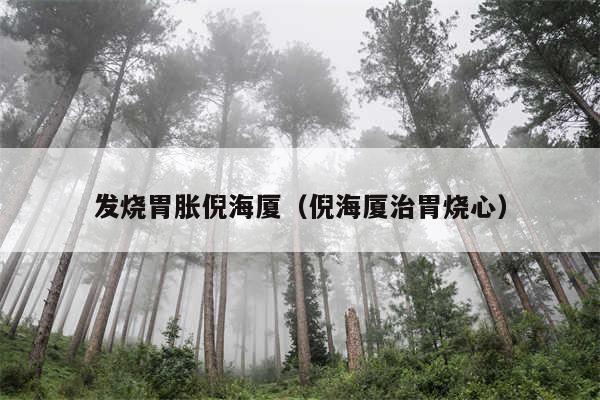 发烧胃胀倪海厦（倪海厦治胃烧心）
