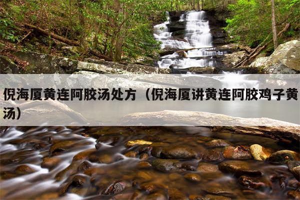 倪海厦黄连阿胶汤处方（倪海厦讲黄连阿胶鸡子黄汤）