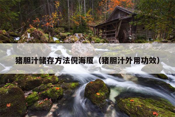 猪胆汁储存方法倪海厦（猪胆汁外用功效）