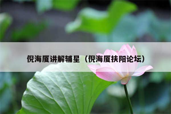 倪海厦讲解辅星（倪海厦扶阳论坛）