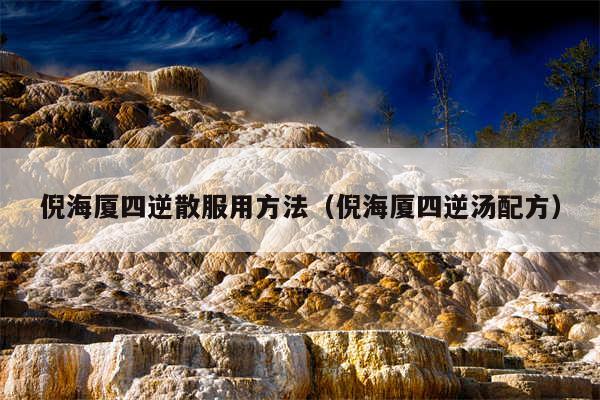 倪海厦四逆散服用方法（倪海厦四逆汤配方）