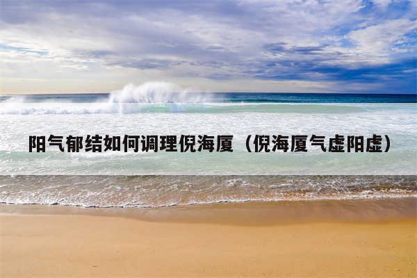 阳气郁结如何调理倪海厦（倪海厦气虚阳虚）