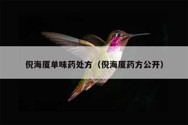 倪海厦单味药处方（倪海厦药方公开）