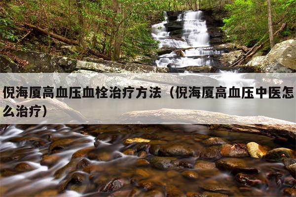 倪海厦高血压血栓治疗方法(倪海厦高血压中医怎么治疗)
