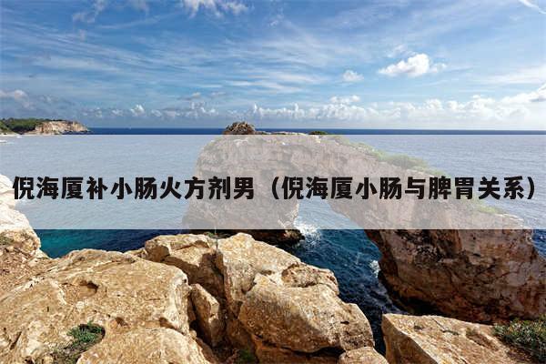 倪海厦补小肠火方剂男（倪海厦小肠与脾胃关系）