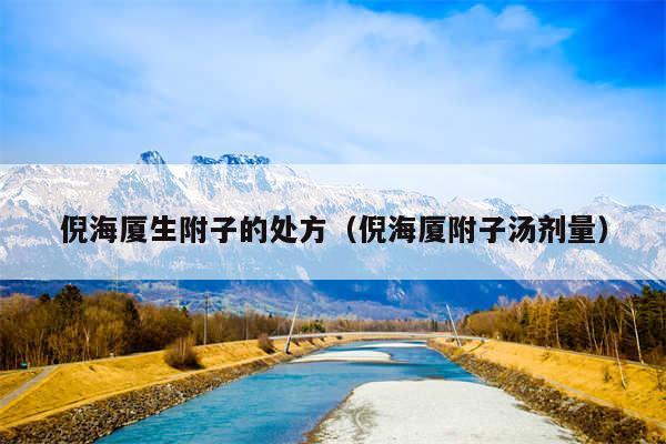 倪海厦生附子的处方(倪海厦附子汤剂量)