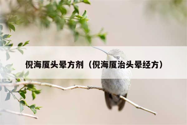 倪海厦头晕方剂(倪海厦治头晕经方)