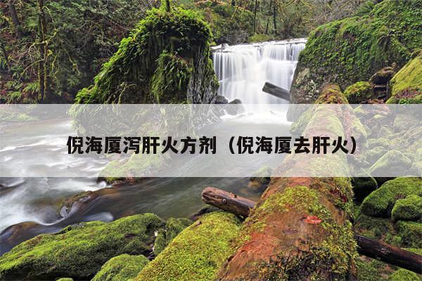 倪海厦泻肝火方剂(倪海厦去肝火)