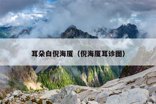 耳朵白倪海厦(倪海厦耳诊图)