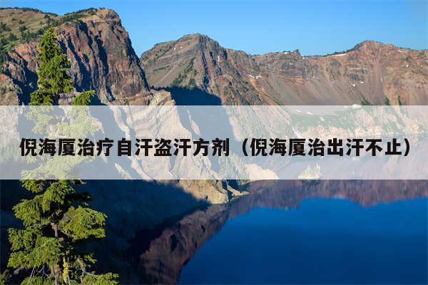 倪海厦治疗自汗盗汗方剂(倪海厦治出汗不止)