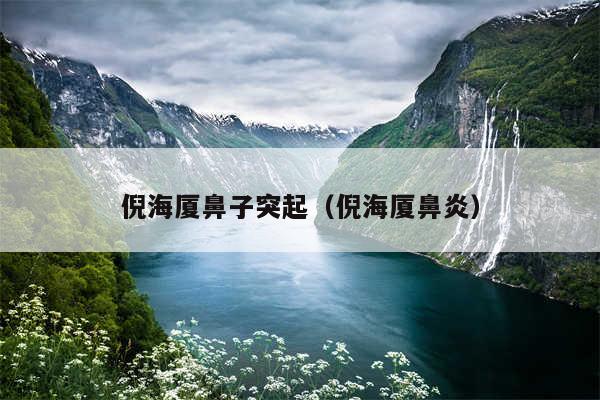 倪海厦鼻子突起(倪海厦鼻炎)