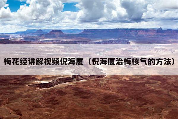 梅花经讲解视频倪海厦(倪海厦治梅核气的方法)