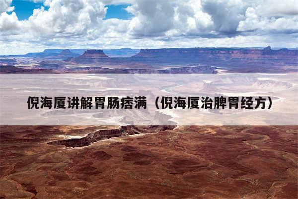 倪海厦讲解胃肠痞满(倪海厦治脾胃经方)