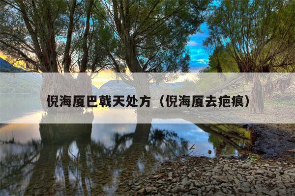 倪海厦巴戟天处方(倪海厦去疤痕)