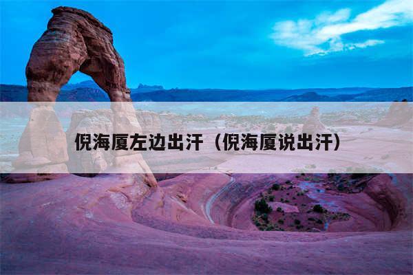 倪海厦左边出汗(倪海厦说出汗)