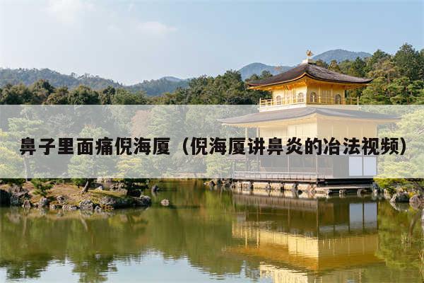 鼻子里面痛倪海厦（倪海厦讲鼻炎的冶法视频）