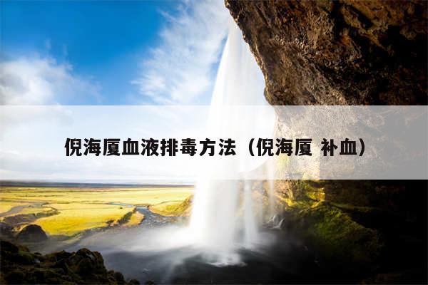 倪海厦血液排毒方法(倪海厦 补血)