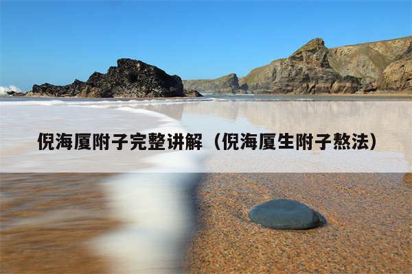 倪海厦附子完整讲解(倪海厦生附子熬法)