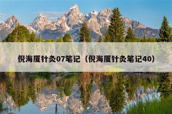 倪海厦针灸07笔记(倪海厦针灸笔记40)