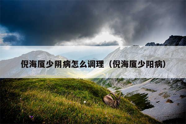 倪海厦少阴病怎么调理(倪海厦少阳病)