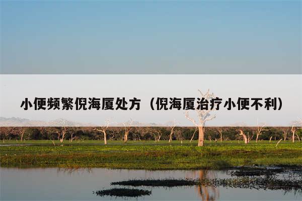 小便频繁倪海厦处方(倪海厦治疗小便不利)