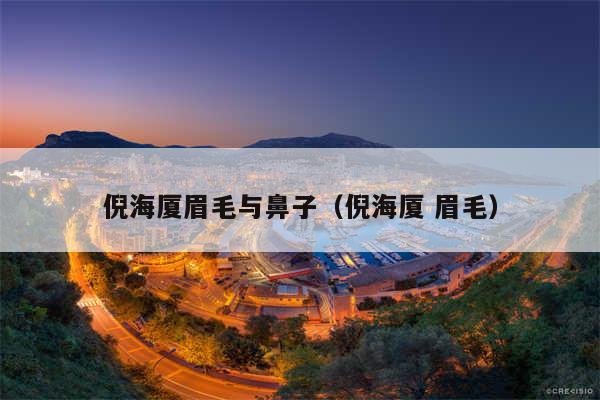 倪海厦眉毛与鼻子(倪海厦 眉毛)