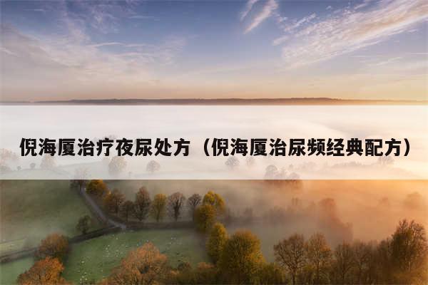 倪海厦治疗夜尿处方(倪海厦治尿频经典配方)