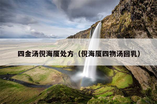四金汤倪海厦处方(倪海厦四物汤回乳)