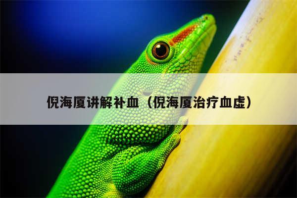 倪海厦讲解补血(倪海厦治疗血虚)