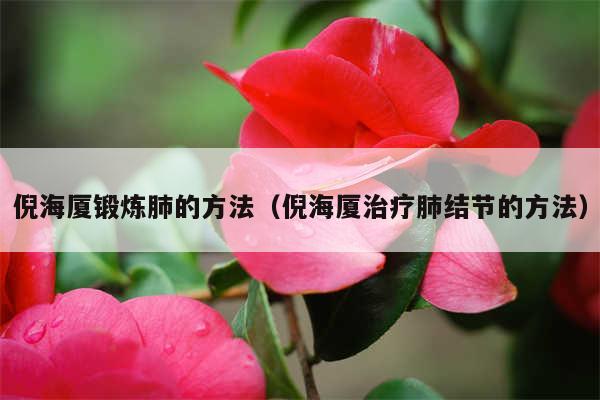 倪海厦锻炼肺的方法(倪海厦治疗肺结节的方法)