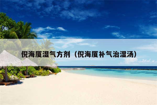 倪海厦湿气方剂(倪海厦补气治湿汤)