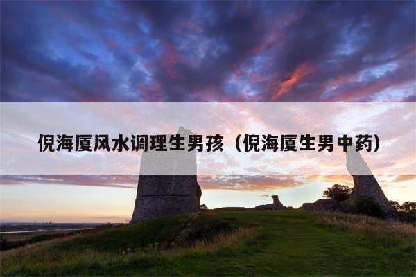 倪海厦风水调理生男孩(倪海厦生男中药)