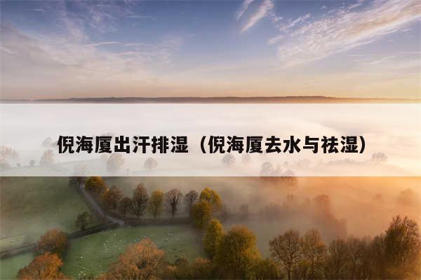 倪海厦出汗排湿(倪海厦去水与祛湿)