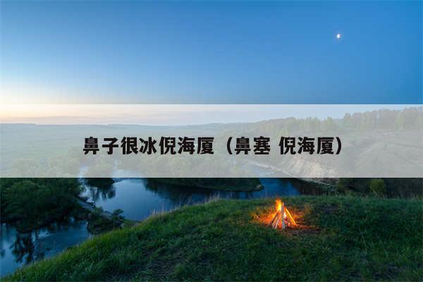 鼻子很冰倪海厦(鼻塞 倪海厦)