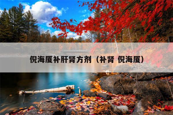 倪海厦补肝肾方剂(补肾 倪海厦)