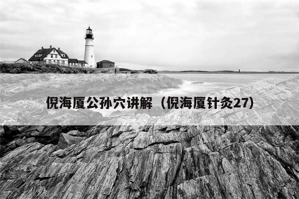 倪海厦公孙穴讲解(倪海厦针灸27)