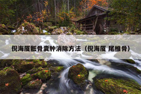 倪海厦骶骨囊肿消除方法(倪海厦 尾椎骨)