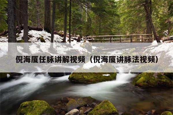 倪海厦任脉讲解视频（倪海厦讲脉法视频）