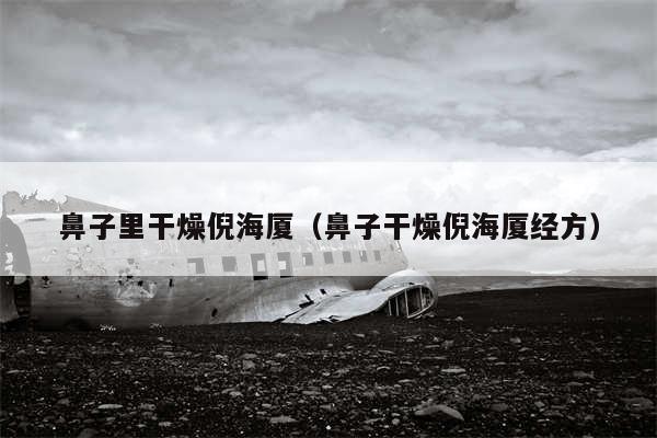 鼻子里干燥倪海厦（鼻子干燥倪海厦经方）