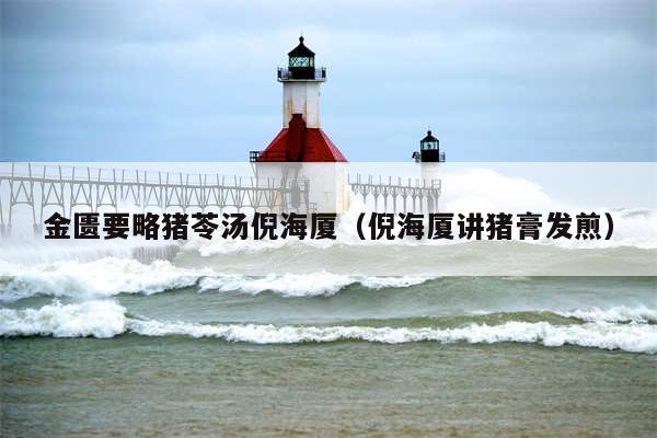 金匮要略猪苓汤倪海厦（倪海厦讲猪膏发煎）