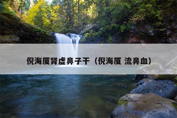 倪海厦肾虚鼻子干(倪海厦 流鼻血)