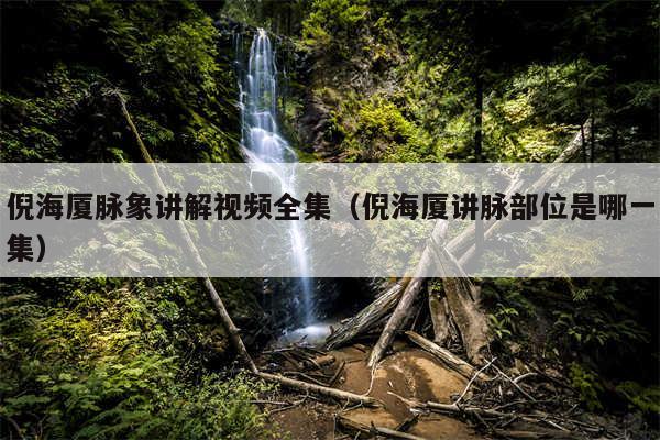倪海厦脉象讲解视频全集（倪海厦讲脉部位是哪一集）