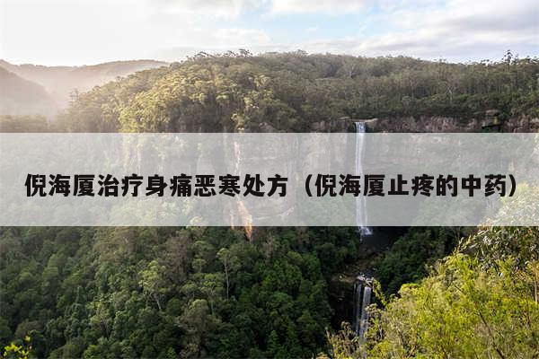 倪海厦治疗身痛恶寒处方（倪海厦止疼的中药）