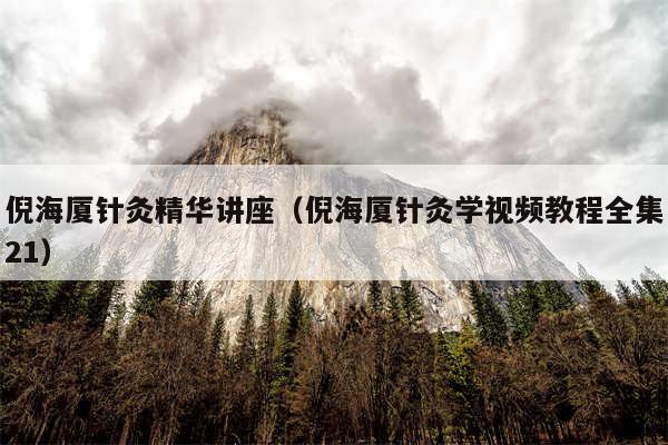 倪海厦针灸精华讲座（倪海厦针灸学视频教程全集21）