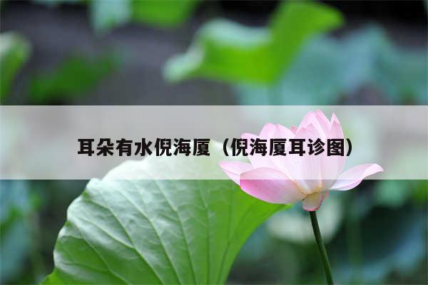 耳朵有水倪海厦（倪海厦耳诊图）